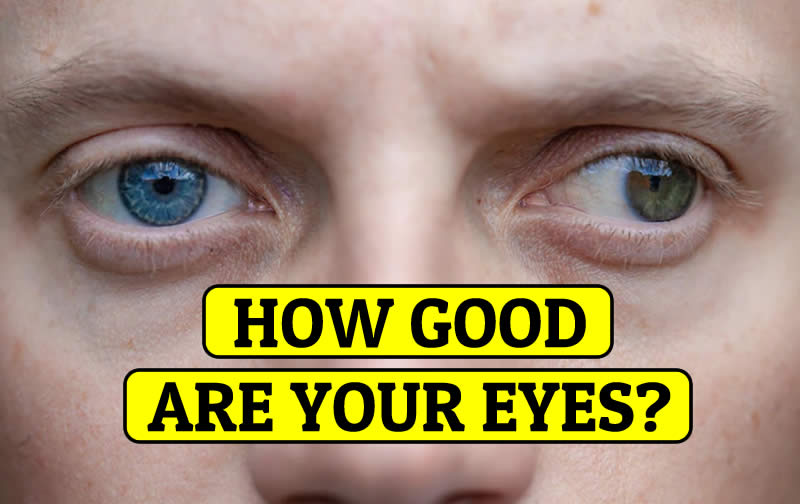 Think You Have Good Eyes? 97% Fail This Easy Vision Quiz… Dare to Try?