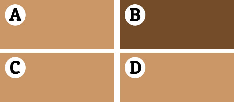 One of these shades isn't like the others—can you spot it?